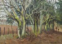 A WALK IN THE FOREST by Katherine Mair at Ross's Online Art Auctions