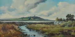 SCRABO FROM STRANGFORD LOUGH by Denis Thornton at Ross's Online Art Auctions