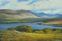 MAYO LOUGH by Liam Jones at Ross's Online Art Auctions