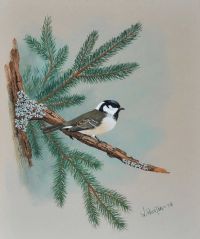 COAL TIT by William Houston at Ross's Online Art Auctions
