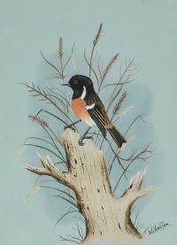 ROBIN by William Houston at Ross's Online Art Auctions