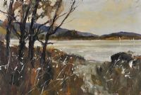 BOG COTTON, LOWER LOUGH ERNE by Hugh McIlfatrick at Ross's Online Art Auctions