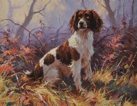 DOG IN THE WOODS by Donal McNaughton at Ross's Online Art Auctions