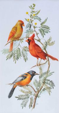 VIRGINIAN CARDINAL AND TROUPIAL by Anne Marie Trechslin at Ross's Online Art Auctions