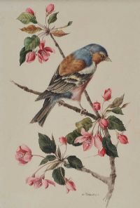 CHAFFINCH by Anne Marie Trechslin at Ross's Online Art Auctions