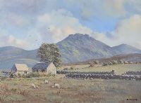 SLIEVE BINNIAN, THE MOURNES by David Overend at Ross's Online Art Auctions