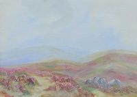 WIDECOMBE VALLEY, DARTMOOR by Helen Holness at Ross's Online Art Auctions