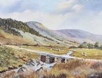 SHANKEY'S RIVER, MOURNE MOUNTAINS by David McIntyre at Ross's Online Art Auctions