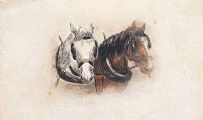 TWO SHIRE HORSES by English School at Ross's Online Art Auctions