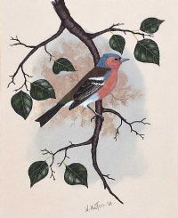 BIRD STUDY by William Huston at Ross's Online Art Auctions