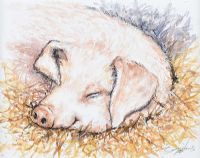 SLEEPING BEAUTY by Andy Saunders at Ross's Online Art Auctions