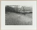 ACROSS THE FIELD VII by Keith Wilson at Ross's Online Art Auctions